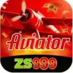 ZS999