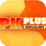 PKPLUS