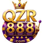 QZR88