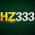 HZ333
